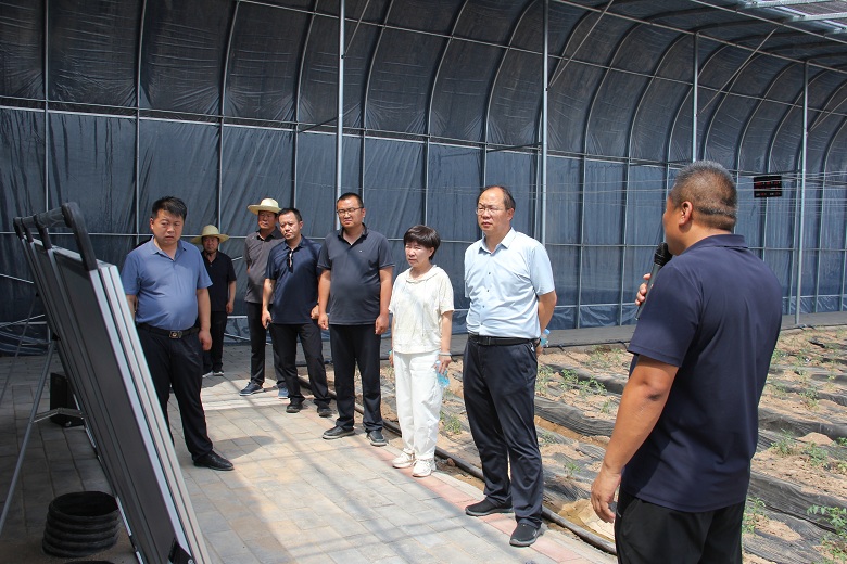 “观摩+督导”促进村集体经济公司化改革“提质增效”