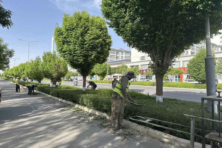 高台园林：多措并举抓好夏季绿化养护工作(图1)