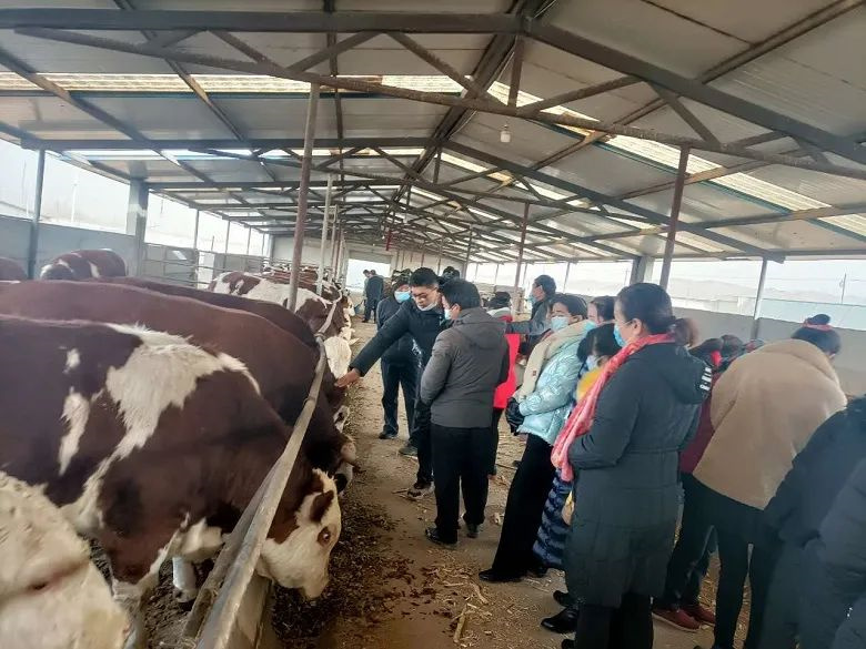 易游娱乐城- YY易游体育官方网站- 易游体育APP望奎：绘就“冬忙图”奏响“增收曲”