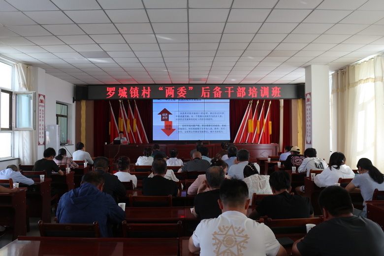 【深化“三抓三促”行动】罗城镇：党建引领激活基层治理“新动能