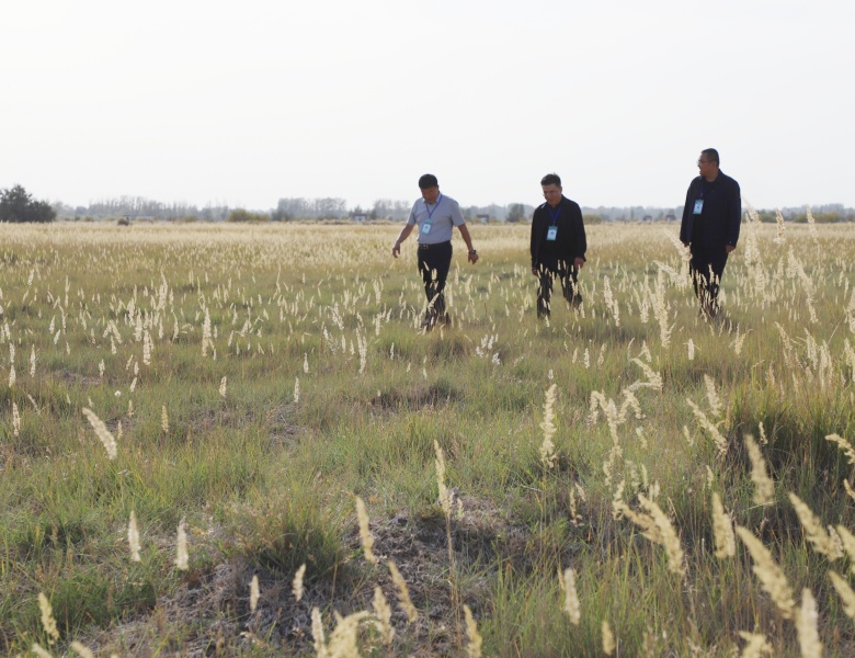 【深化“三抓三促”行动】宣化镇：精准发力抓安全 护航双节保平