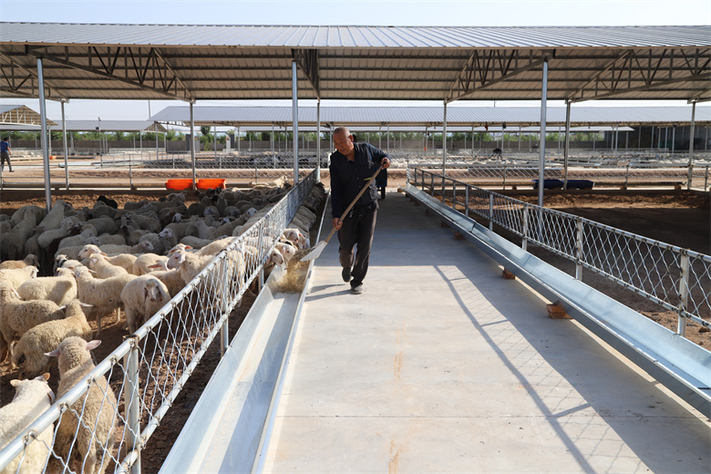 U8国际- U8国际官方网站- U8体育APP下载高原“牛司令”的15载身份跃迁