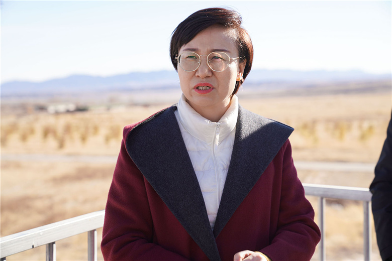 刘伟红调研乡村振兴工作
